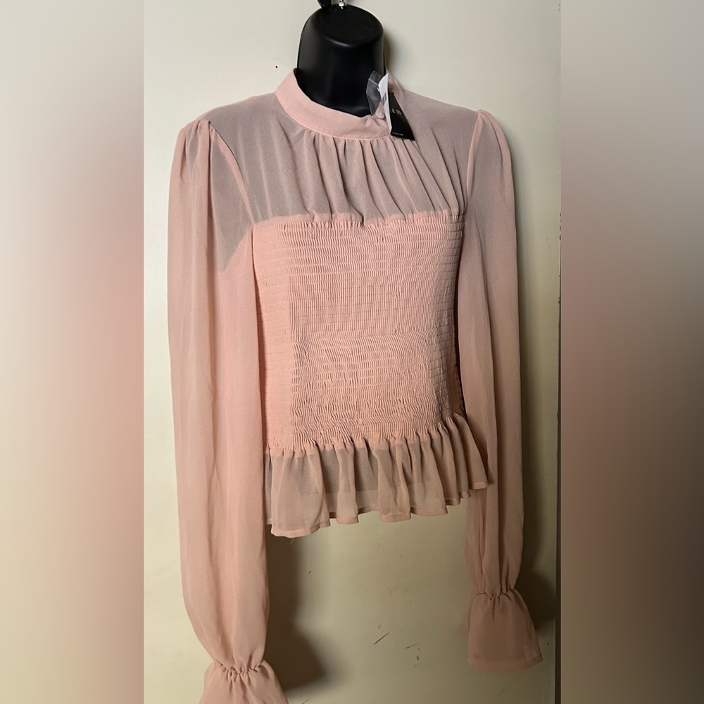Blush Long Sleeve Sheer Top